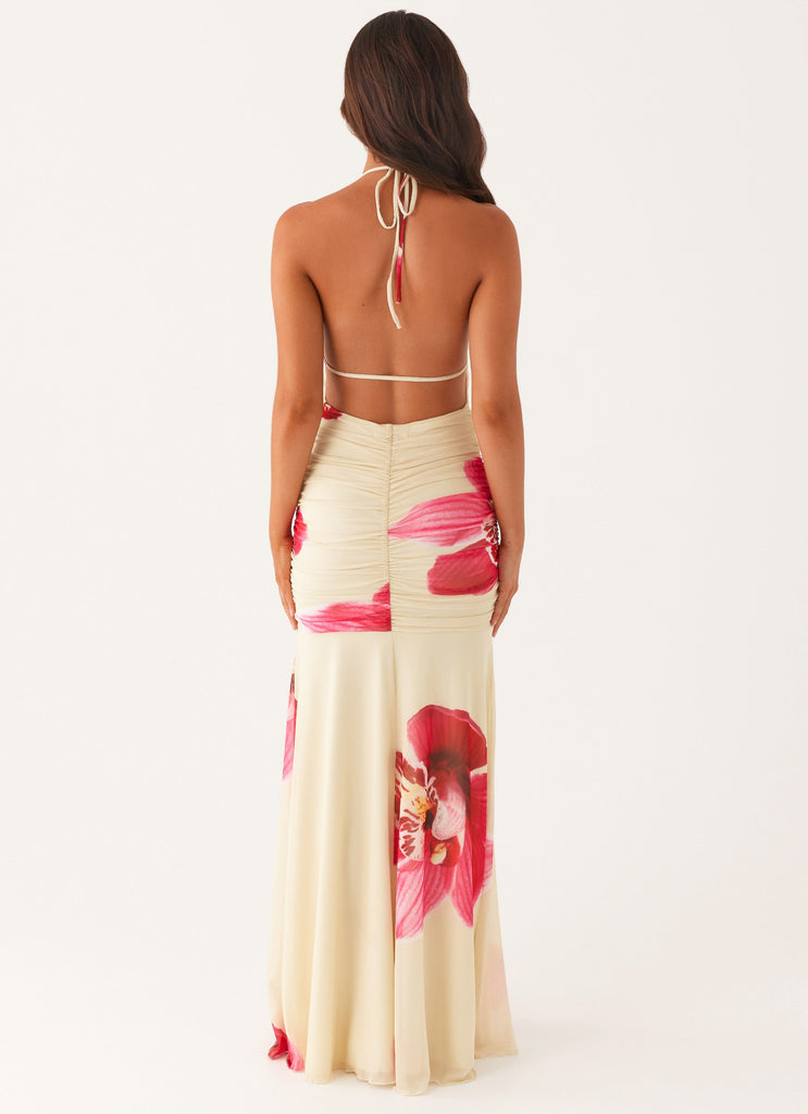 Hollywood Maxi Dress - Orchid Yellow