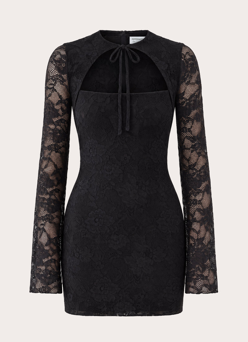 Norelle Lace Mini Dress - Black
